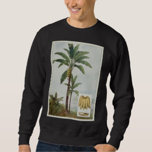 Sudadera Ilustracion de árboles plátanos