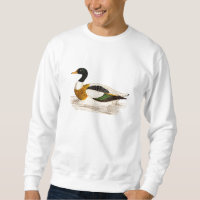 Ilustracion del pato de Drake de los 1800s del