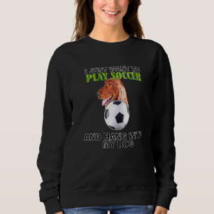 Sudadera Jugar al fútbol Hang W Dog Irish Setter
