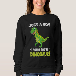 Sudadera Just A Boy Who Loves Dinosaurs Rawr Rex Dinosaur
