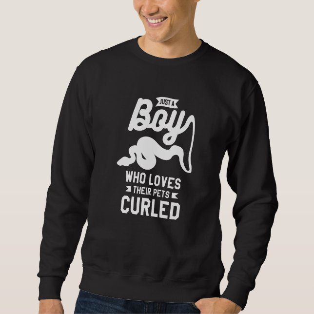 Sudadera Just A Boy Who Loves Their Pets Curled Ball Python (Anverso)