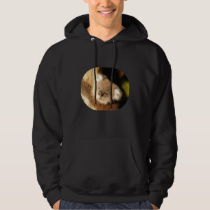 Sudadera Koala Bear Australia Love