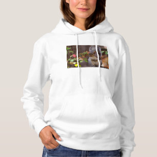 Sudadera La ardilla ruega pacientemente