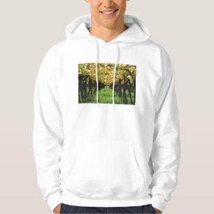 Sudadera La Argentina, Mendoza, fila de la uva en viñedo