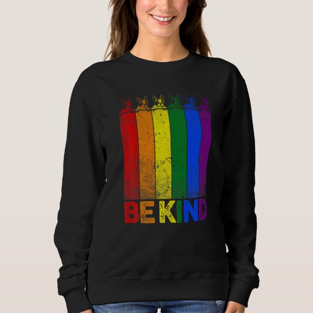 Sudadera La bandera arcoiris del territorio de Boston será  (Anverso)