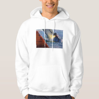 Sudadera La taza de América, Valencia España 2007, combina