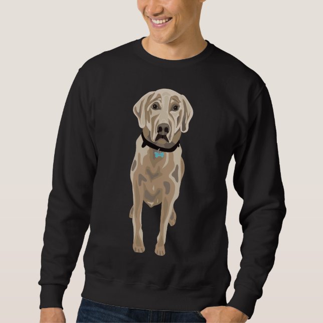 Sudadera Laboratorio (Anverso)