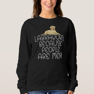 Sudadera Laboratorio Recuperador De Laboratorios Porque La