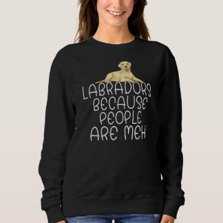 Sudadera Laboratorio Recuperador De Laboratorios Porque La