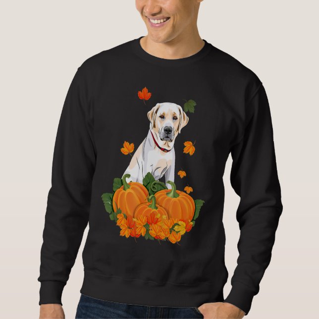 Sudadera Labrador amarillo recuperador de calabaza de Acció (Anverso)