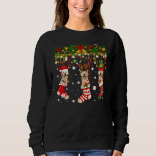 Sudadera Labrador en Santa Lucía de reno navideño