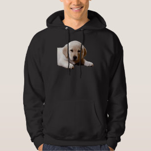Sudadera Labrador Nap Time