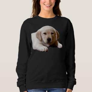 Sudadera Labrador Nap Time