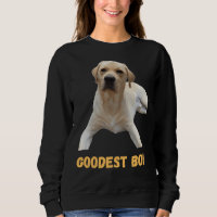 Labrador perro lindo perro bueno chico malo B