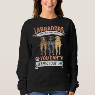 Sudadera Labrador Recuperador Perro Gracioso