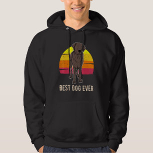 Sudadera Labrador Recuperador Perro Sunset 8