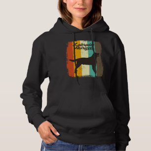 Sudadera Labrador recuperador retro 70 Perro vintage relaja