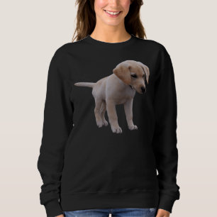 Sudadera Labrador Recuperever Puppy Es Una Obligación Para 