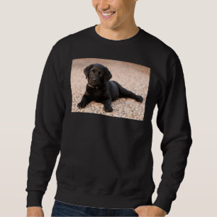 Sudadera Labrador Retriever Puppy