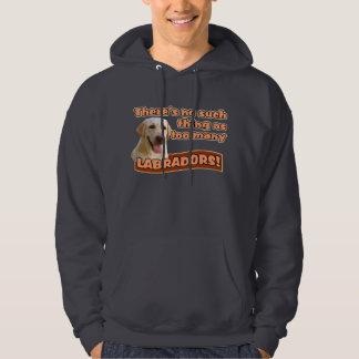 SUDADERA LABRADORES RETRIEVERES