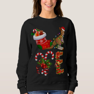 Sudadera Las Luces De Los Navidades Canguro Llevaron A Funn