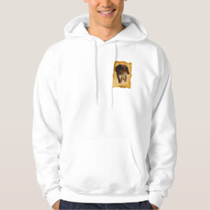 Sudadera León Africano Hermoso Gran Gato Vida Silvestre