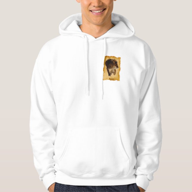 Sudadera León Africano Hermoso Gran Gato Vida Silvestre (Anverso)