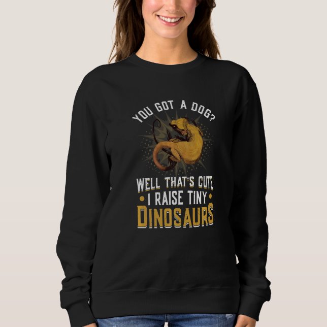 Sudadera Levanto un dragón con barba de dinosaurios (Anverso)