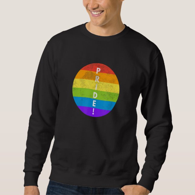 Sudadera LGBTQ Pride Rainbow Flag Equality Gay Lesbian Tran (Anverso)
