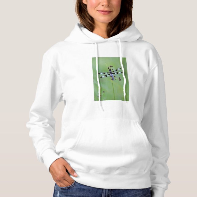 Sudadera Libélula posada en la hierba, Canadá (Anverso)