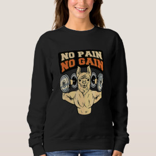 Sudadera Llama Alpaca No Dolor No Ganancia