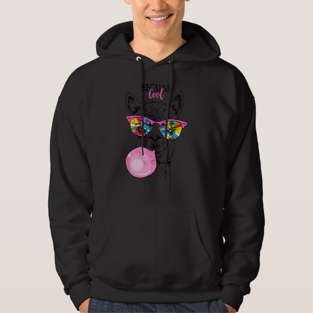 Sudadera Llama divertida con gafas de arcoíris, chicle rosa (Anverso)