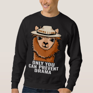 Sudadera Llama Solo Tú Puedes Prevenir el Drama divertido C