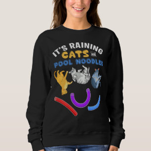 Sudadera Lluvia De Gatos Y Fideos De Billar Gracioso Meme