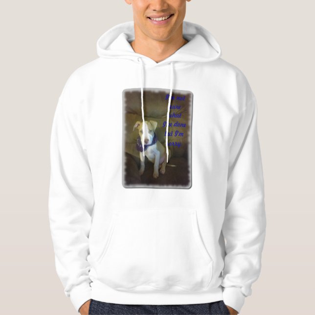 Sudadera Lo siento (Anverso)
