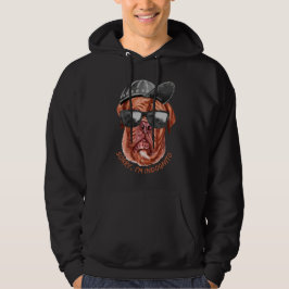 Sudadera LO SIENTO, soy un perro gracioso de INDOGNITO (esc