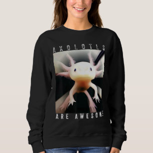 Sudadera Los Axolotls Son Alarmantes Amojados Axiolotl Rosa