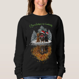 Sudadera Los Navidades De Dachshund Se Están Volviendo Tee