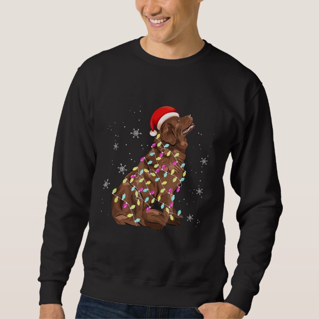 Sudadera Luz de Navidades de Terranova | Divertido Perro Lo (Anverso)