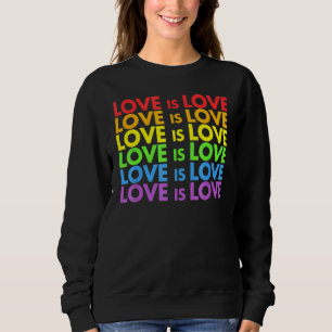 Sudadera Marcha del Orgullo Arcoiris Lgbt Igualdad Amor