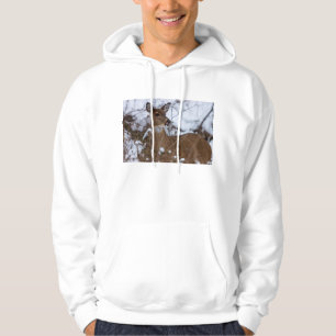 Sudadera Masticable