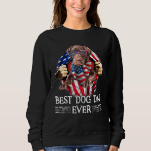 Sudadera Mejor Laboratorio De Chocolate Papá Bandera Estado