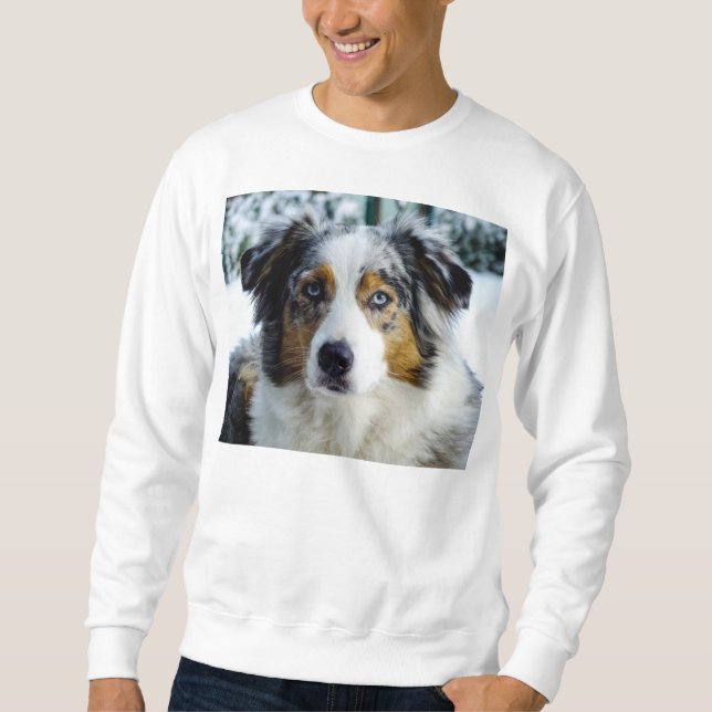 Sudadera merle azul 3 del pastor australiano (Anverso)