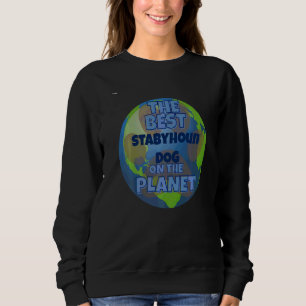 Sudadera Mi Stabyhoun es el mejor perro del mundo perro per