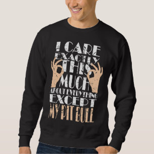 Sudadera Mi Toro De Pit Es Todo Lo Que Me Importa