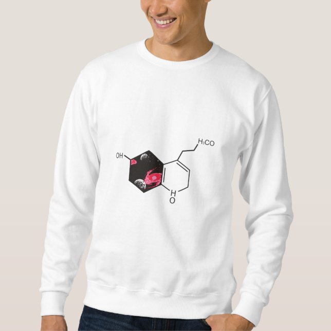 Sudadera Molécula química con visión del espacio ultraterre (Anverso)
