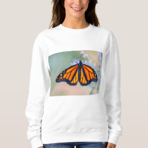 Sudadera Monarch Butterfly