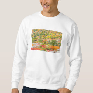 Sudadera Montaña en caída, parque nacional de Cadillac de