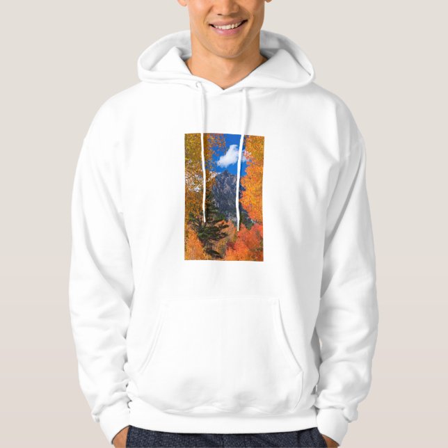 Sudadera Montaña enmarcada en follaje de otoño, CA (Anverso)