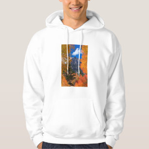 Sudadera Montaña enmarcada en follaje otoño, CA